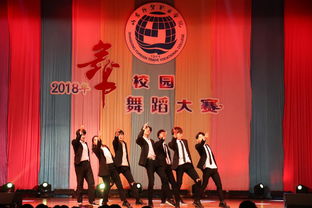 第十五屆大學(xué)生文化藝術(shù)節(jié)“舞動(dòng)山外”舞蹈大賽圓滿落幕